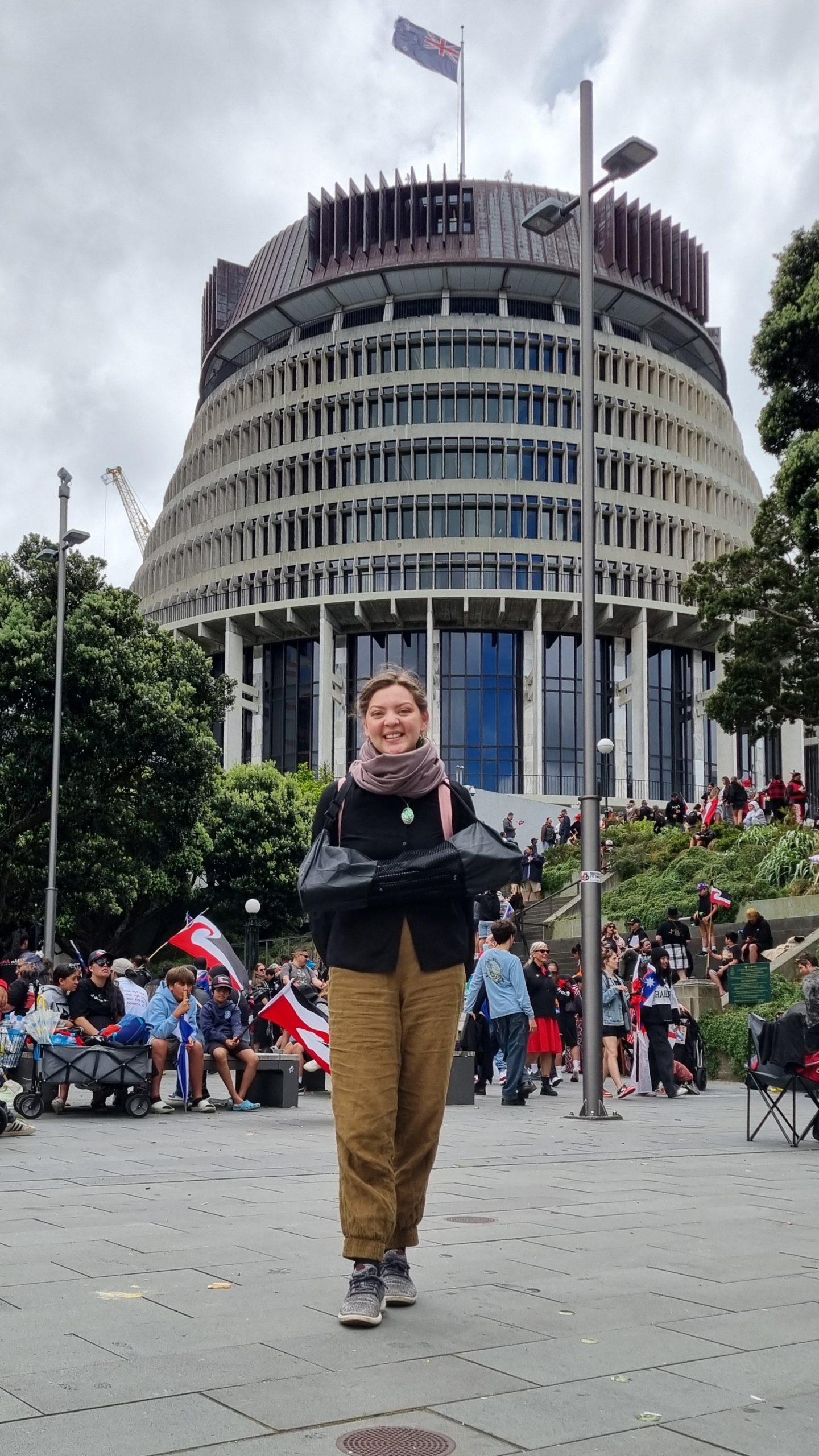 Read more about the article Un Hikoi de Unión: Apoyo a la Cultura Maorí en el Parlamento de Wellington