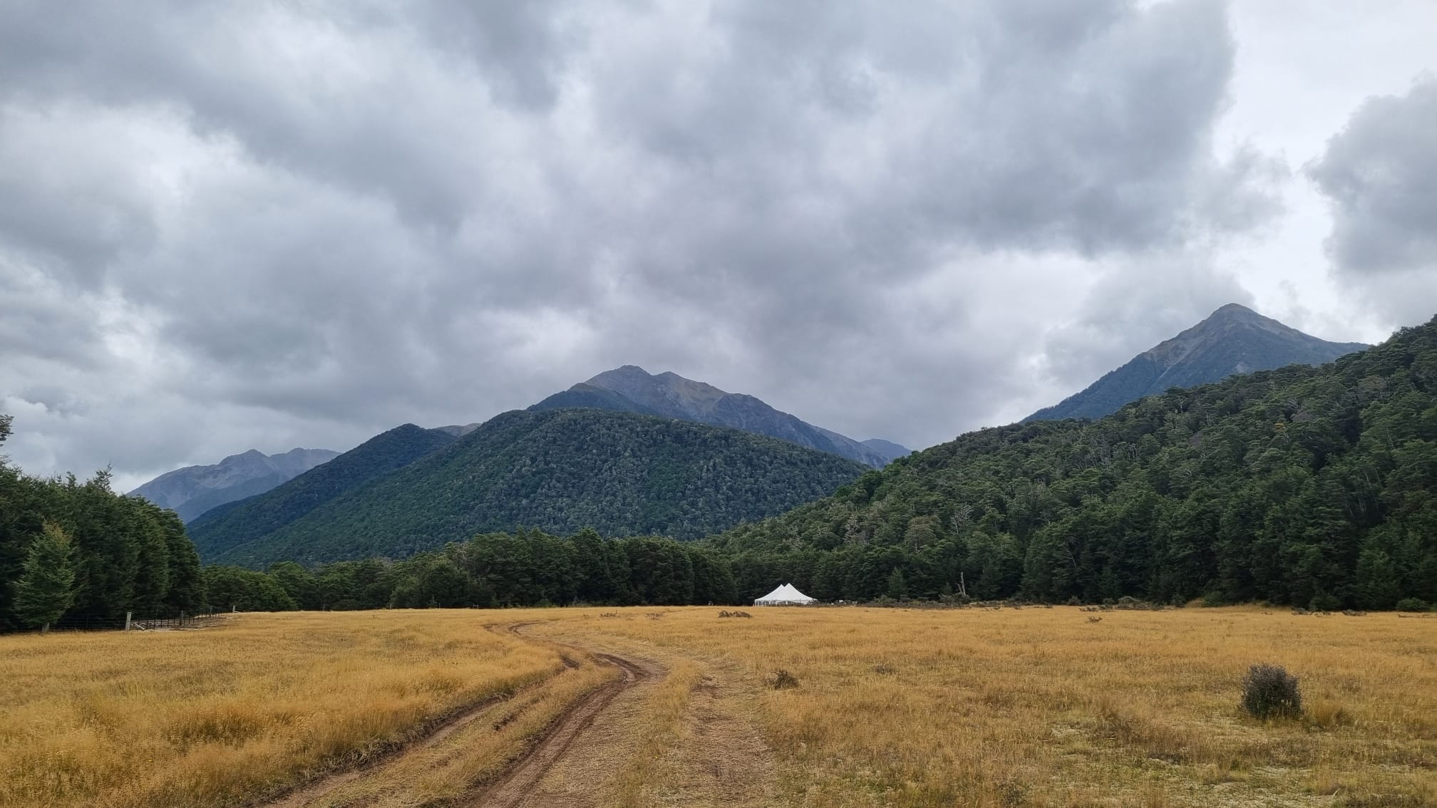 Read more about the article Wedding in Arthur’s Pass
